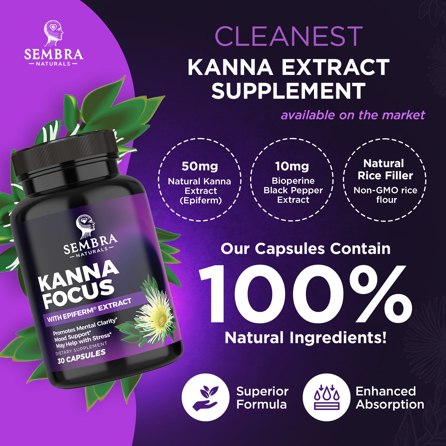 KannaFocus – Natural Cognitive & Mood Support